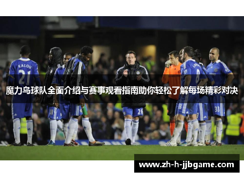 魔力鸟球队全面介绍与赛事观看指南助你轻松了解每场精彩对决