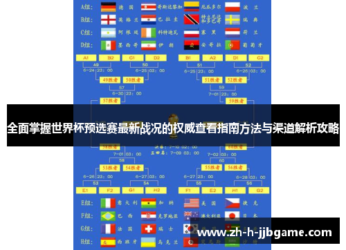 全面掌握世界杯预选赛最新战况的权威查看指南方法与渠道解析攻略
